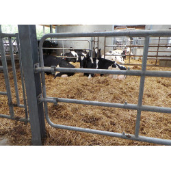 Przód bramki EX4 Jourdain | Sklep Arbena.pl