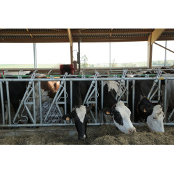 Drabina paszowa SAFETY 8/5 m Jourdain zamontowana w oborze