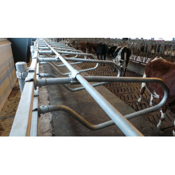 Obejma Robust 60/49