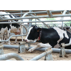 Obejma do rury Ø 125mm