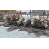Drabina AXIAL II 8/6m