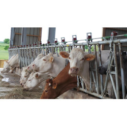 Drabina SAFETY 7/4,6m