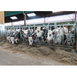 Drabina SAFETY 8/5,4m