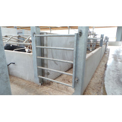 Tył pastwiskowy 2/3m